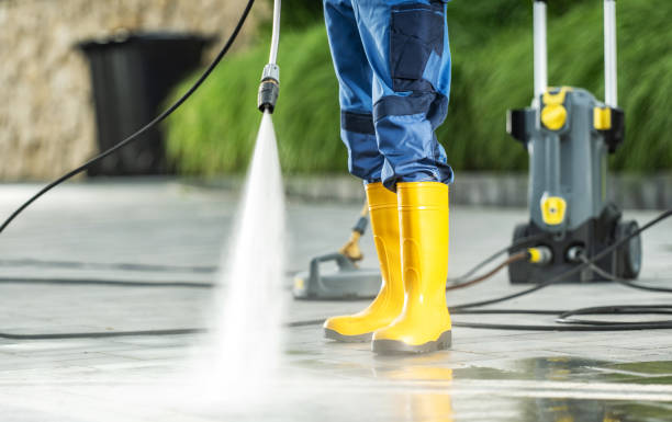 Best Local Pressure Washing Services  in Picture Rocks, AZ