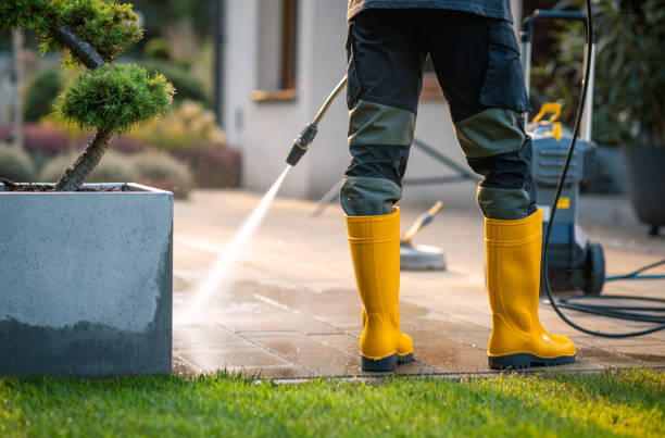 Best Roof Pressure Washing  in Picture Rocks, AZ